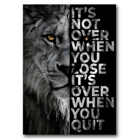 Tableau - Don't Quit