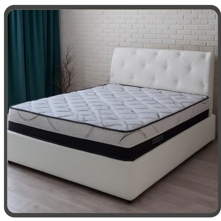 الماطلة الرولي الإيطالية الطبية Matersasso Pisa