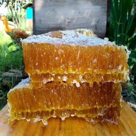 عسل سدر طبيعي