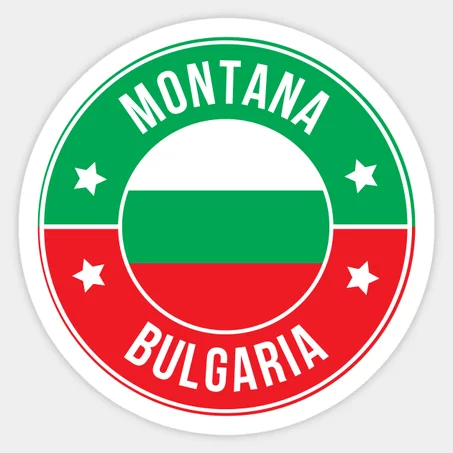 Montana Sticker