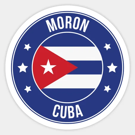 Moron Sticker