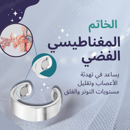 Silver Magnetic Ring II