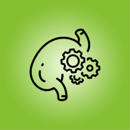 مشاكل الهضم والانتفاخ