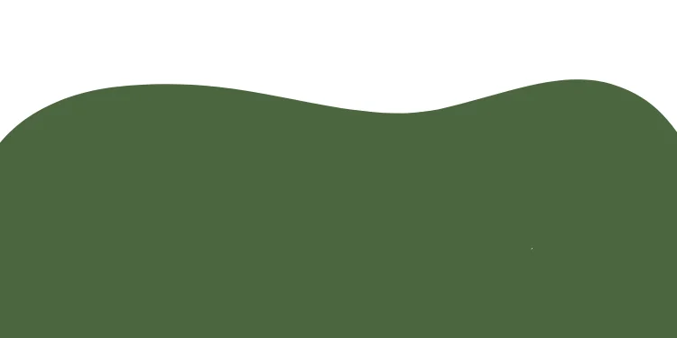 slider-image