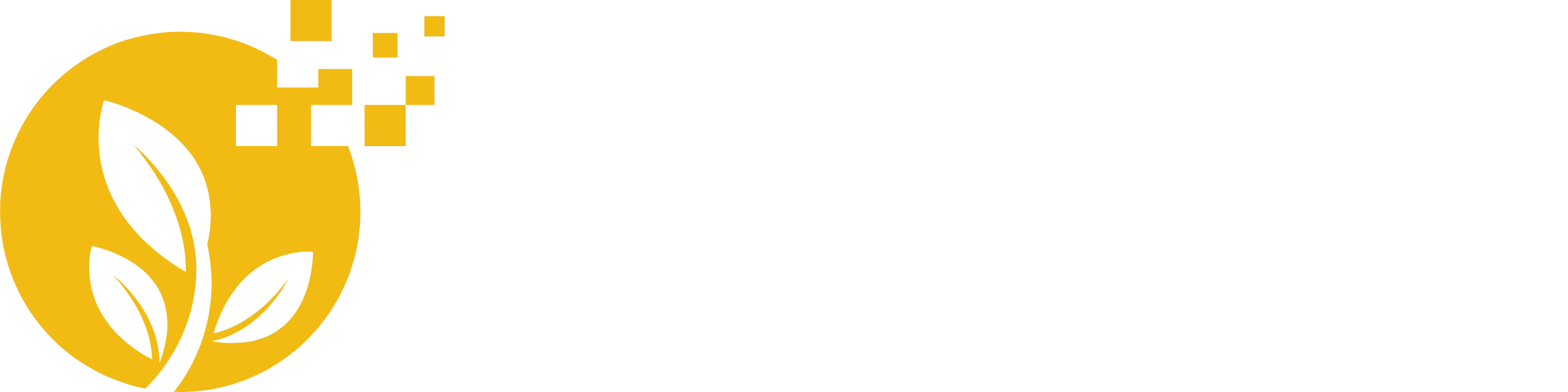 aloetesteurs