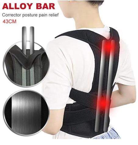 حزام الظهر الداعم