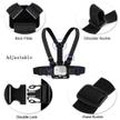 stores/d8b6cc7b5aa35d34253d05e620465344/products/uLOAbJ1RszEkiNI1yJXxFpgXhRzP0lYIaBVMOe2E.jpg