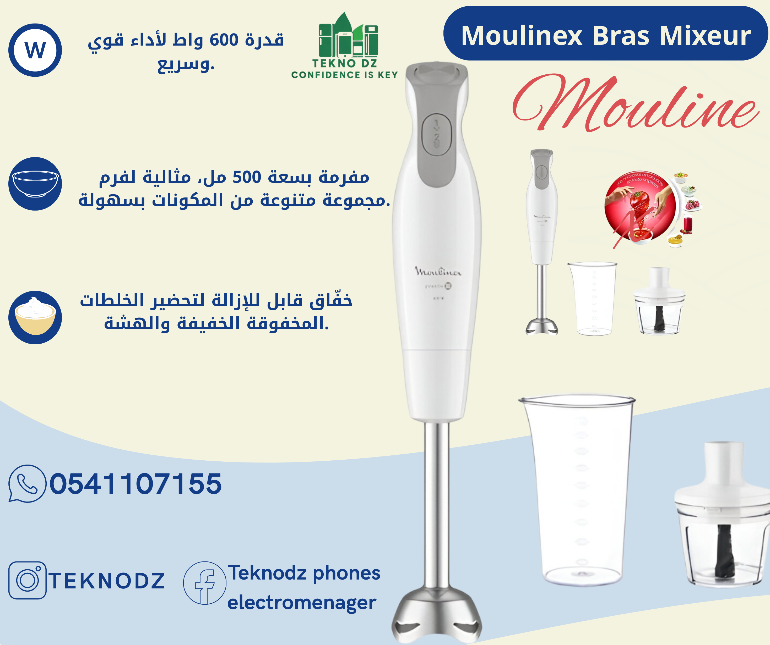 Moulinex Bras Mixeur