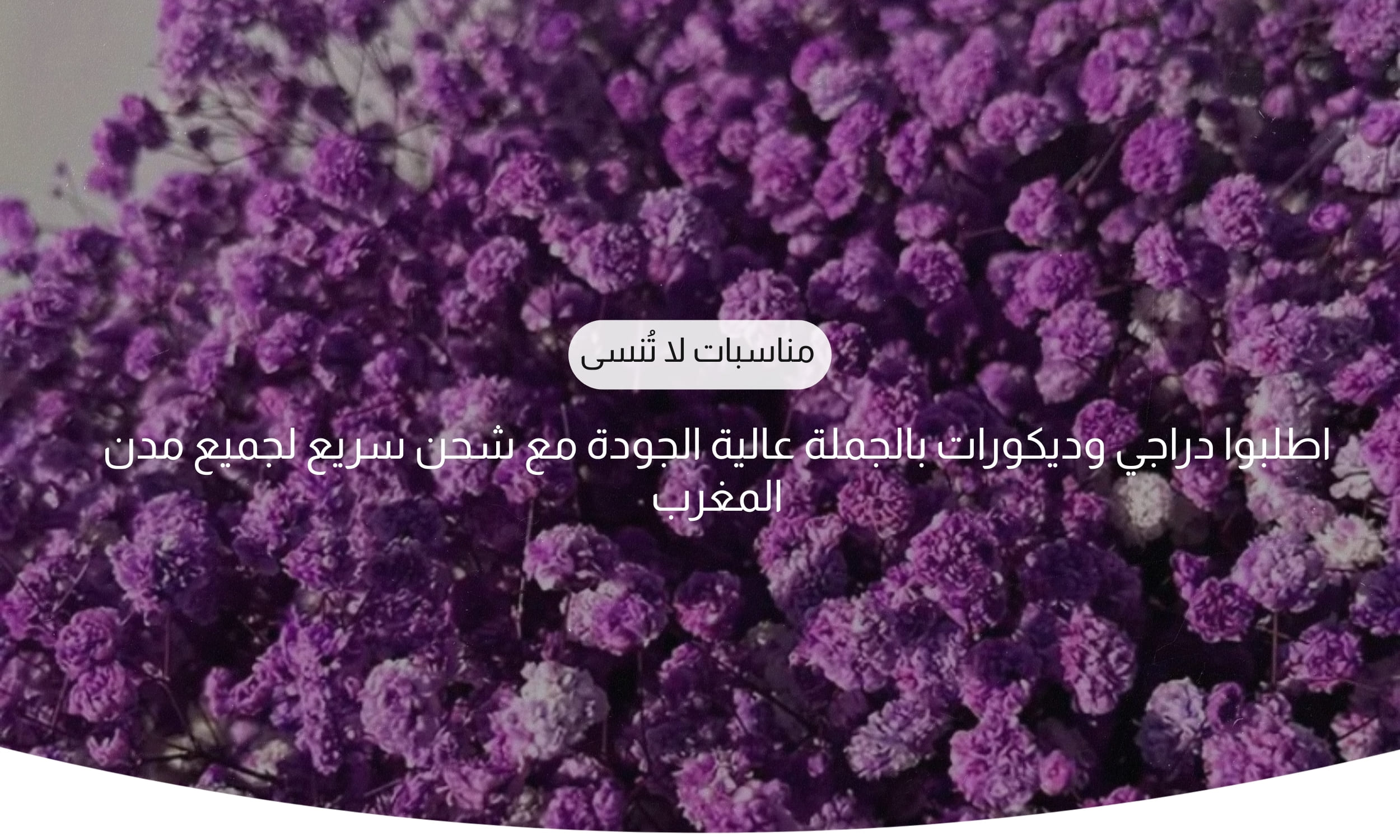 slider-image
