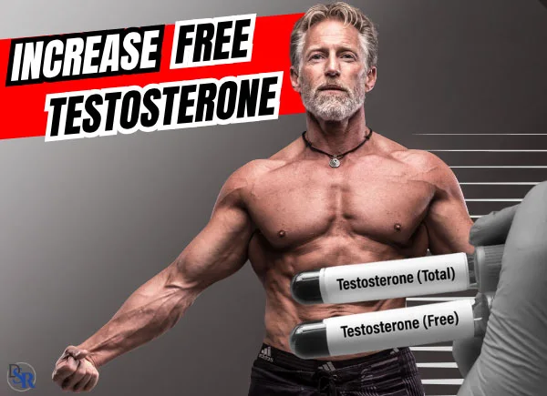 3 Best Ways Of Increasing Your Free Testosterone, Naturally