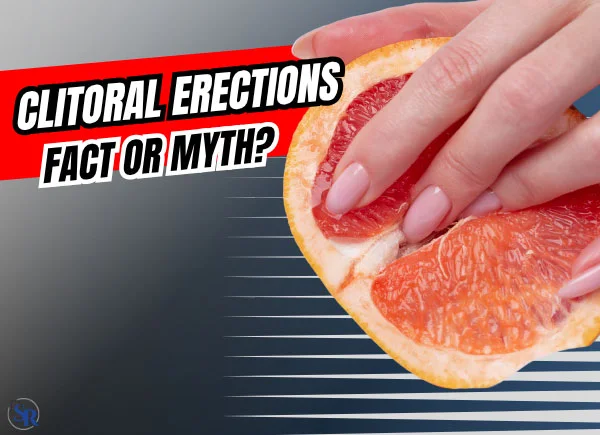 Clitoral Erections - Fact Or Myth?