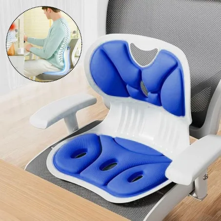 وسادة دعم الظهر