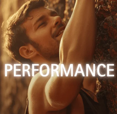 Performance
