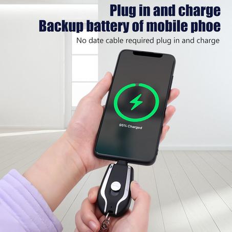 الشاحن الصغير المحمول   -  Petit chargeur portable