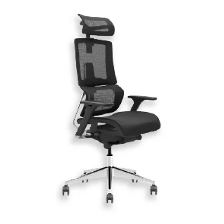 Ergonomic Chair