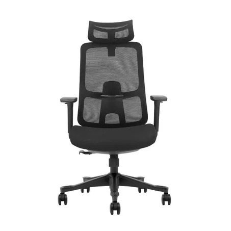 SKILLCHAIRS Ergo Argyros