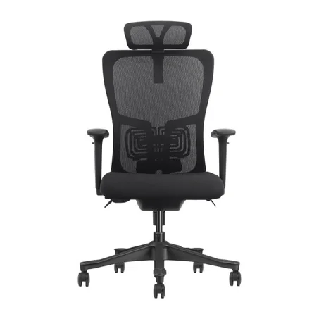 SKILLCHAIRS Ergo Apricity