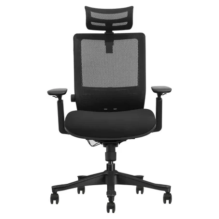 SKILLCHAIRS Ergo Aurora