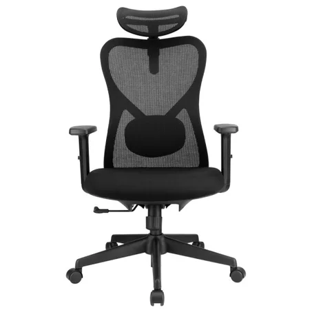 SKILLCHAIRS Ergo Alaska