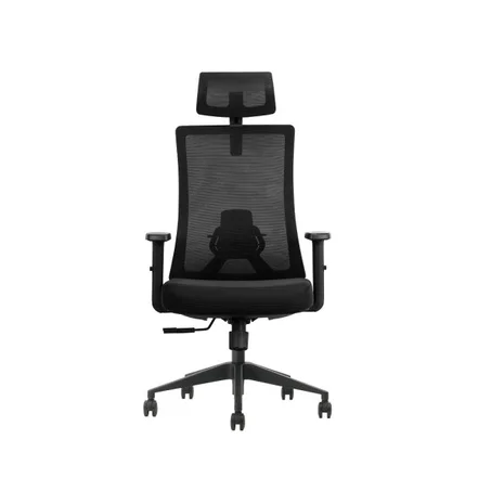 SKILLCHAIRS Ergo Aria (Black)
