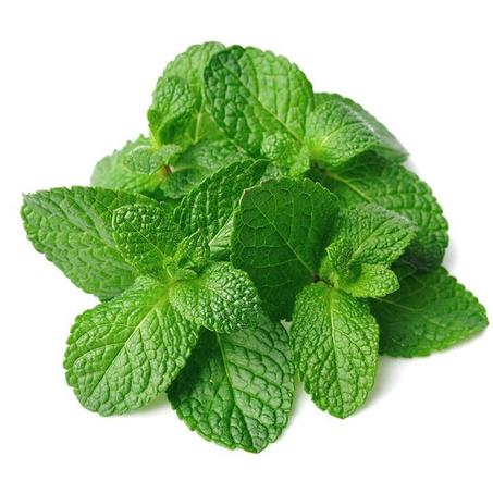 Menthe Poivrée SACHET