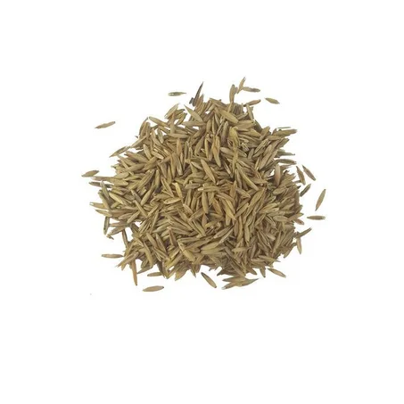 Graines de Gazon 1kg/40m²