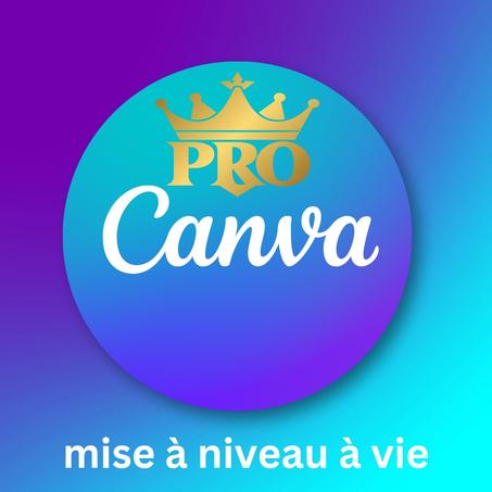 حسابات كانفا برو