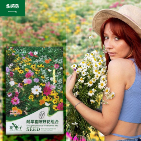 مزيج من الزهور البرية المقاومة للجفاف
