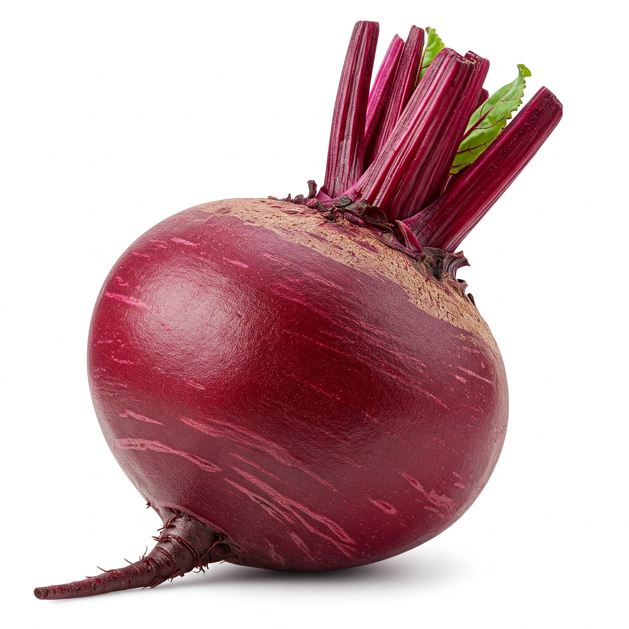 الشمندر ( الباربا )