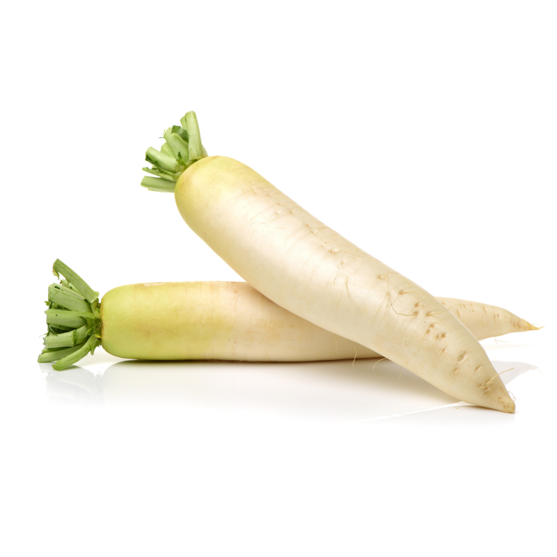 فجل