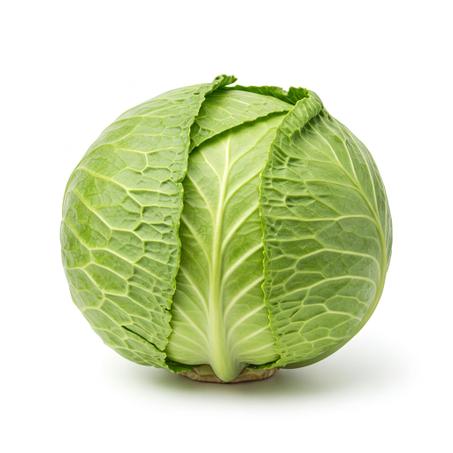 الملفوف