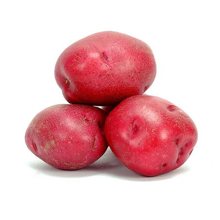 بطاطس