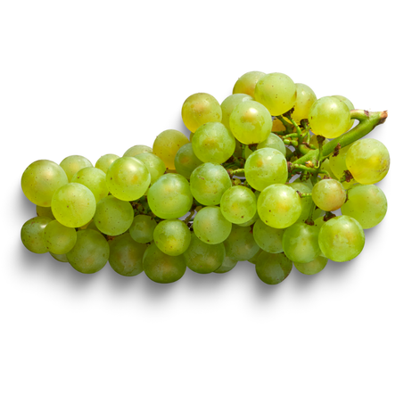 العنب
