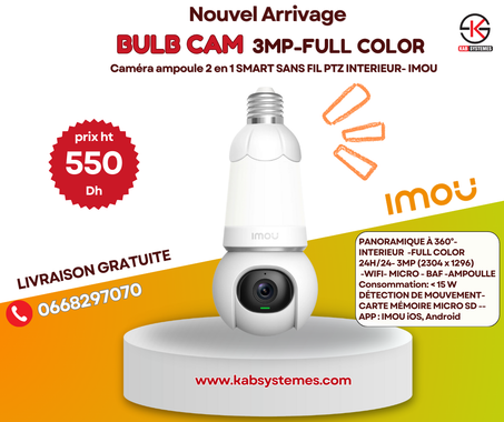 CAMERA SANS FIL  AMPOULE 2EN1
