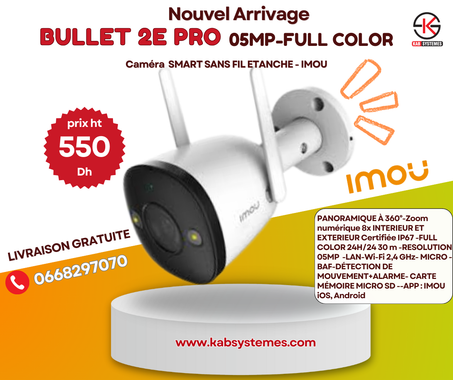 CAMERA SANS FIL ETANCHE PRO 05MP