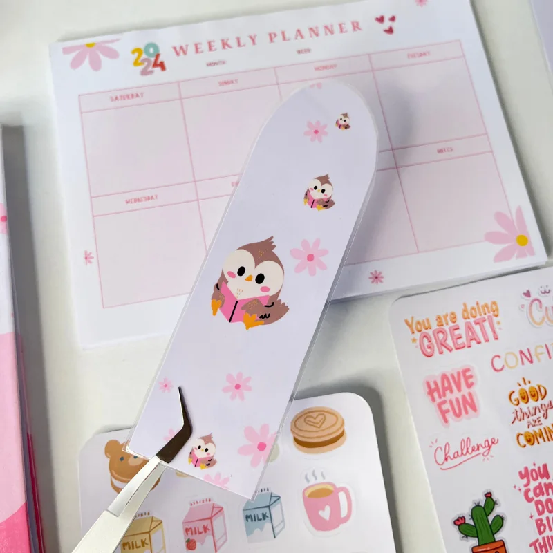 مجموعة 2024 الوردية 💕🧸🌸