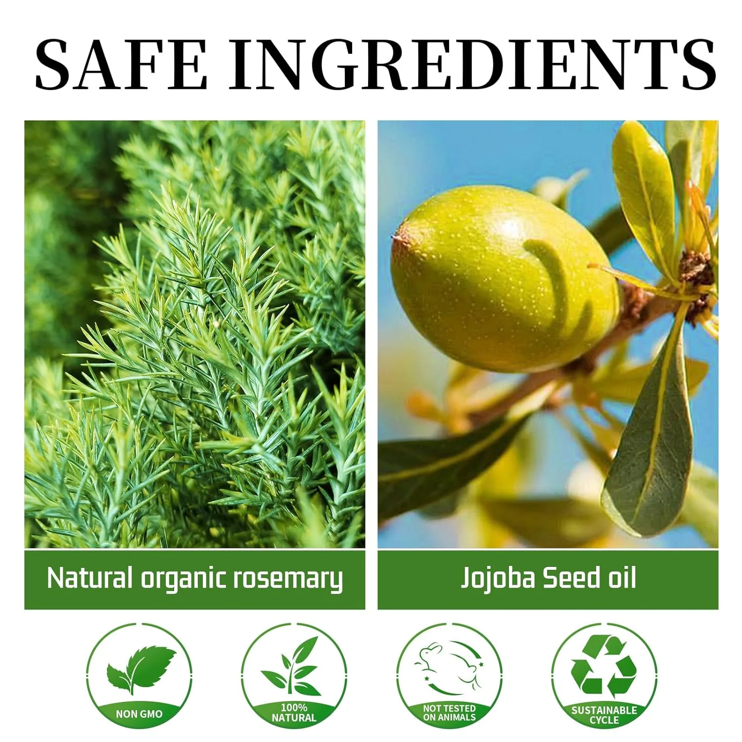 • rosemary hair care