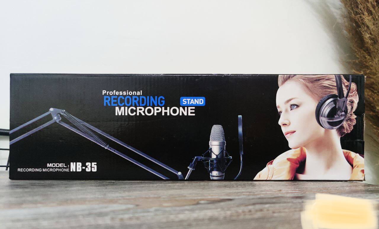 Recording microphone professional