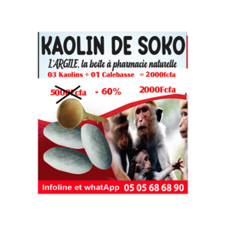 MEDICAMENTS TRADITIONNELS