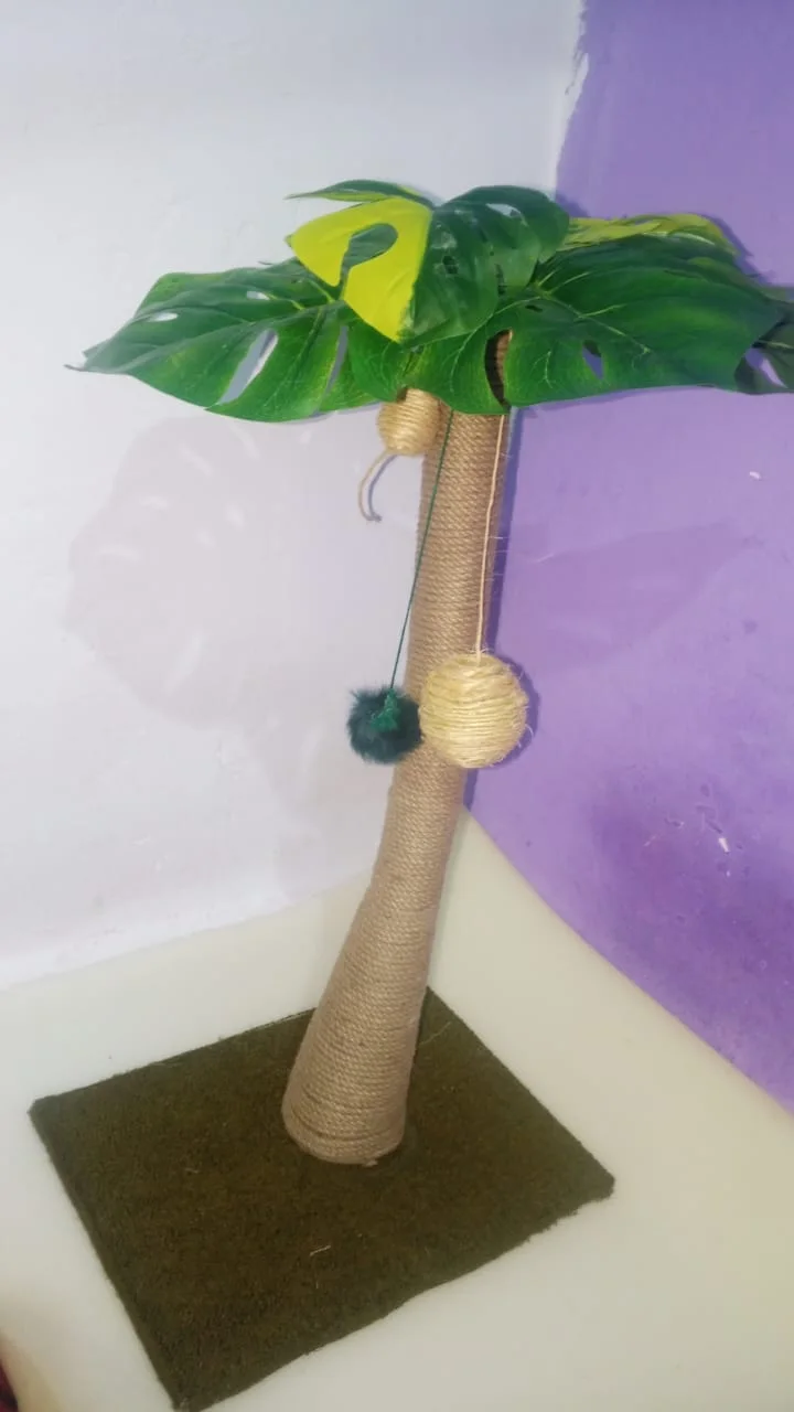 شجرة القط
