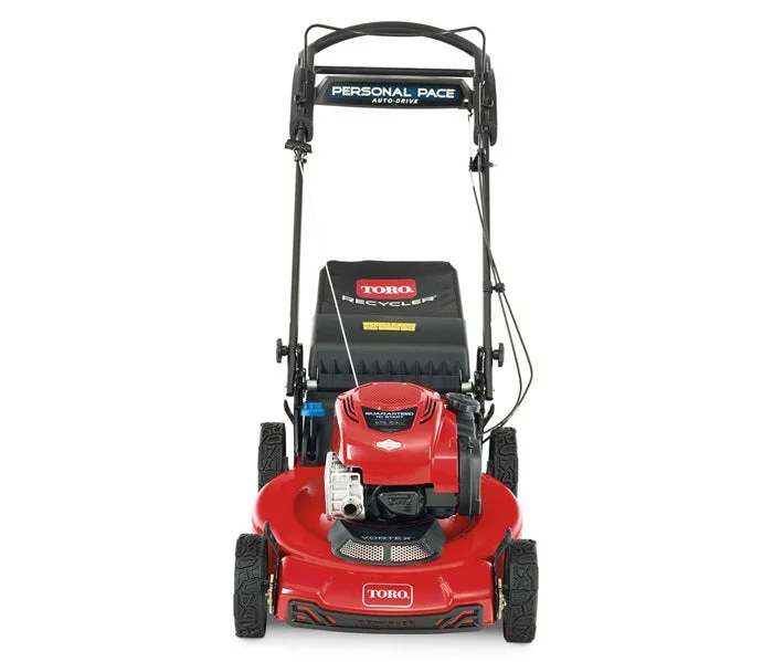 Toro Recycler Self-Propelled Mower 163cc Briggs & Stratton 7.25 TP (22