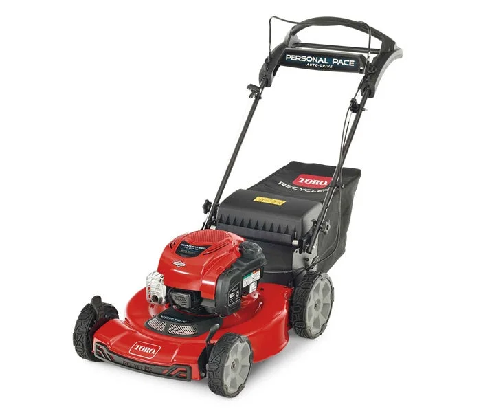 Toro Recycler Self-Propelled Mower 163cc Briggs & Stratton 7.25 TP (22