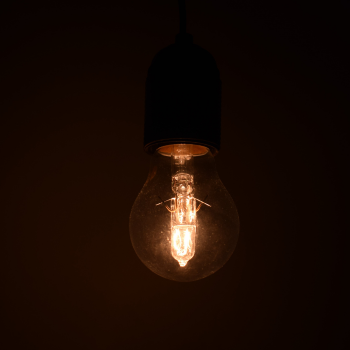 لمبات bulbs