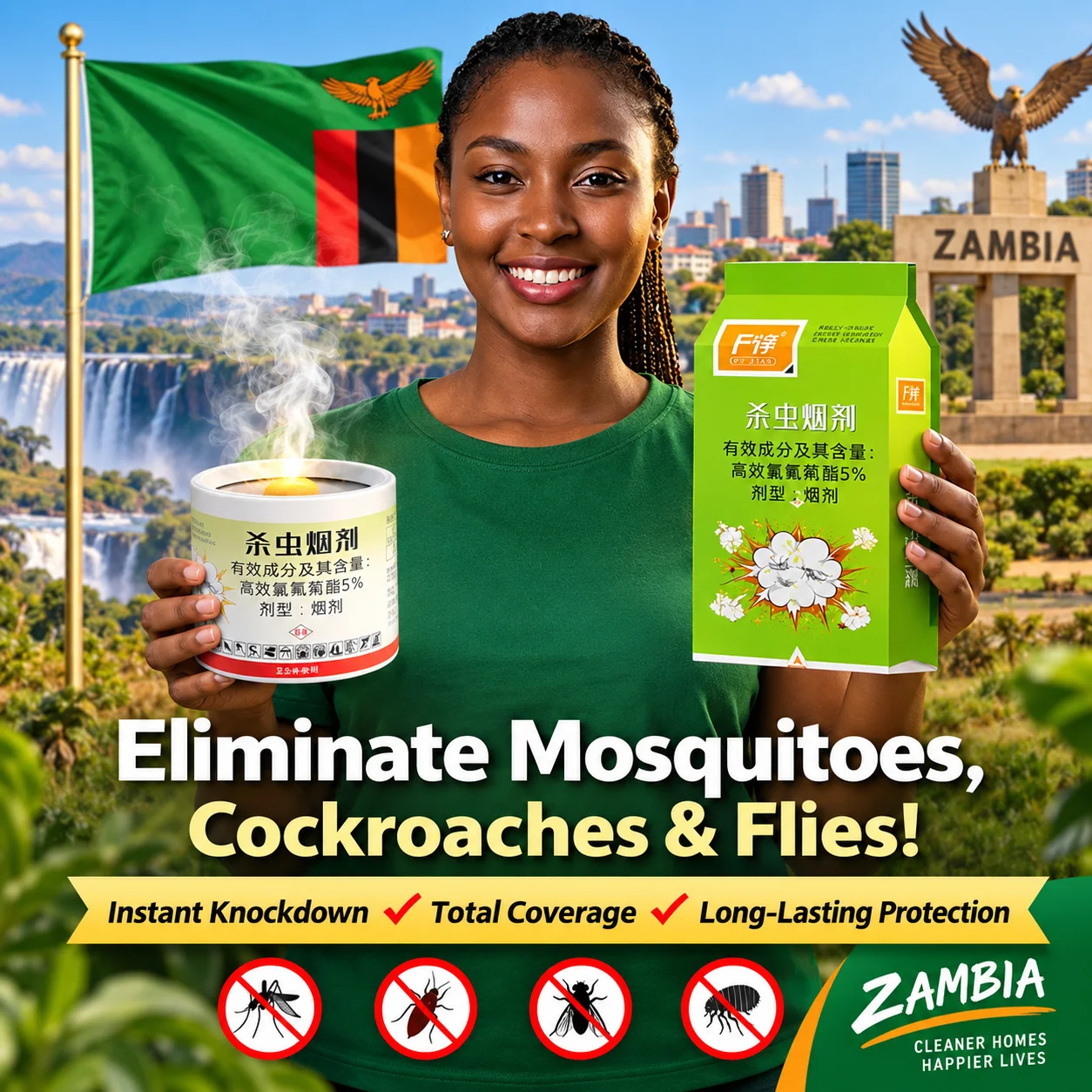 6PCS Powerful Smoke Insecticide