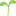 🌱