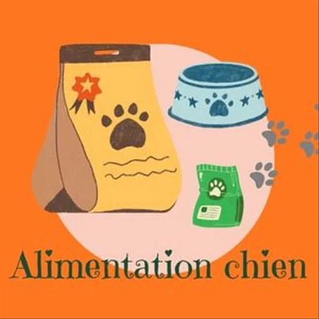 Alimentation chien