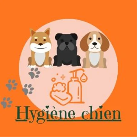 Hygiène chien