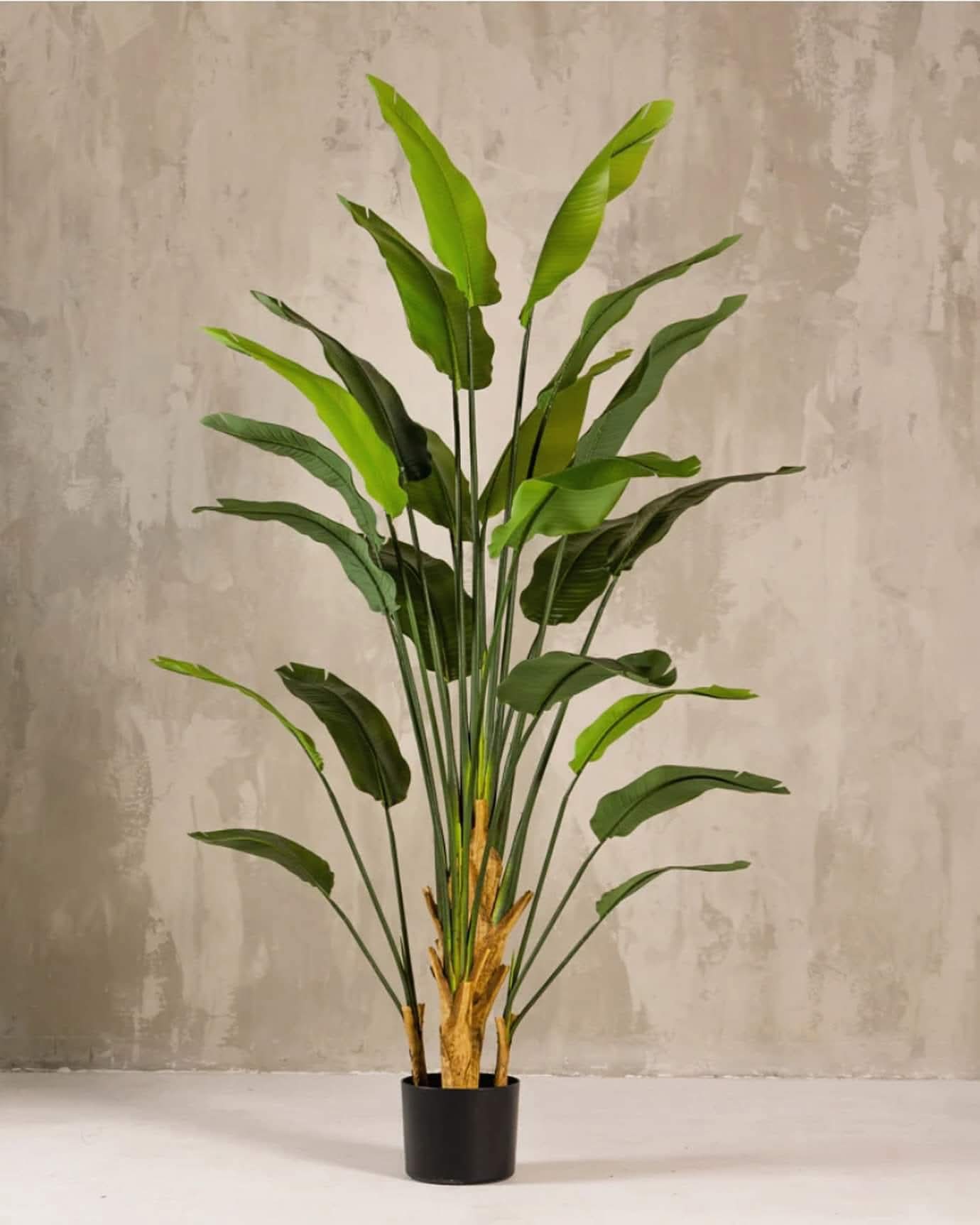 Verte Étoile