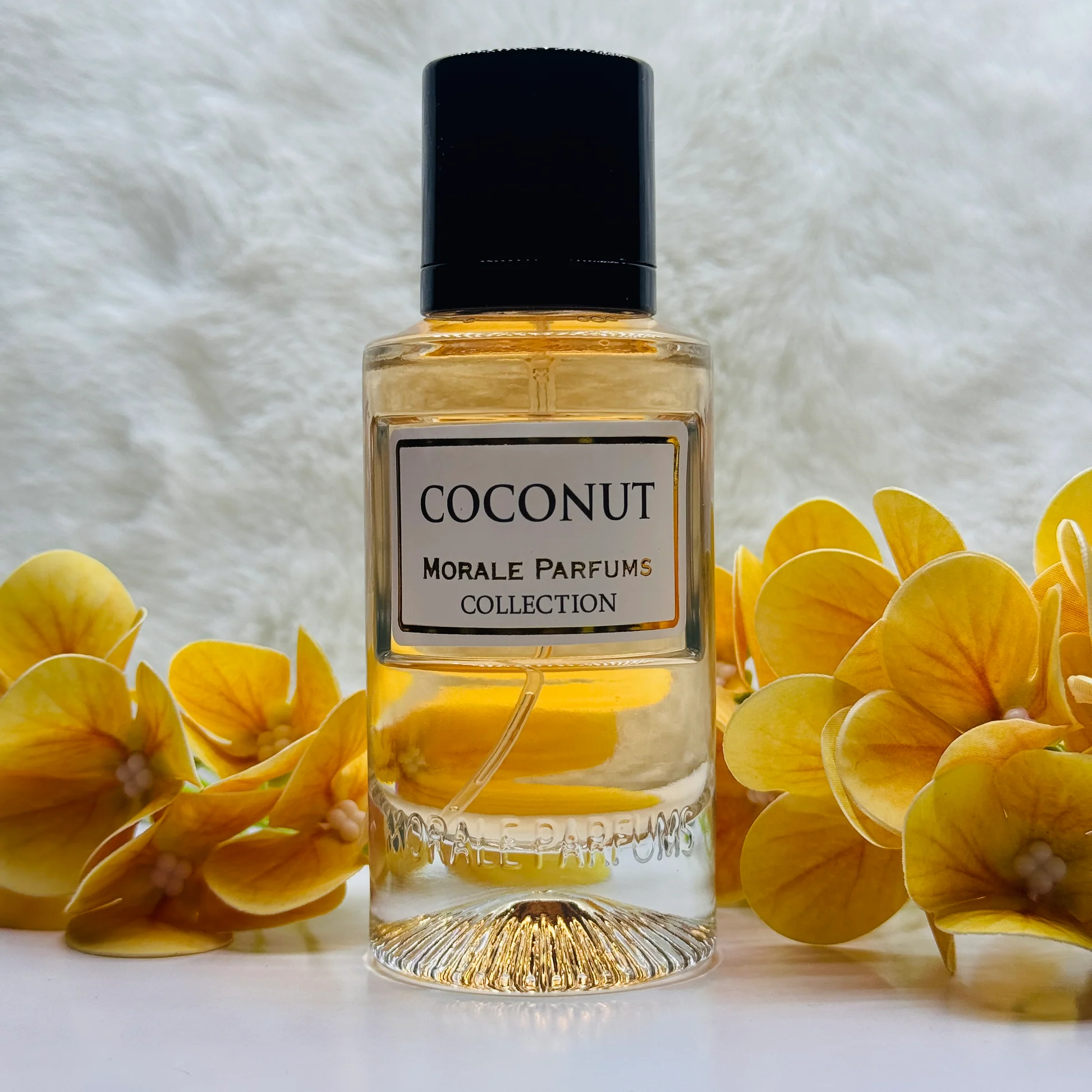 Morale Parfums Collection Coconut Eau De Parfum Unisex 50ml