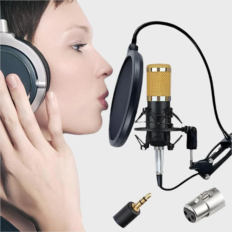 Singing Live Sound Card Live Broadcast Microphone